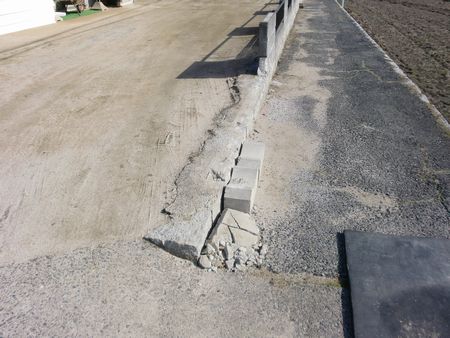 b0131012_10201217.jpg