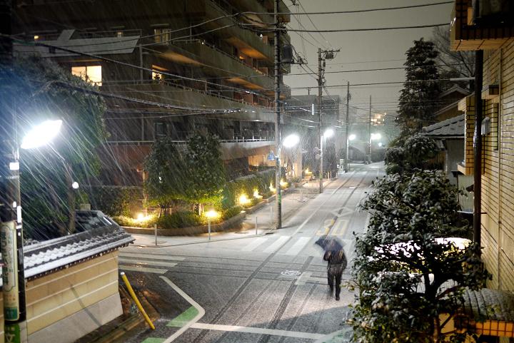 ２月の雪_f0157215_20532330.jpg