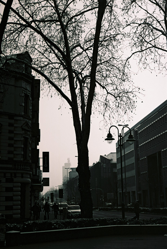 b0148617_17342968.jpg