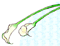 c0223117_2145465.gif