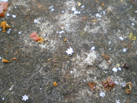 c0124619_22472976.jpg