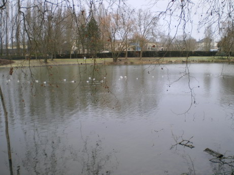 c0124619_22492318.jpg