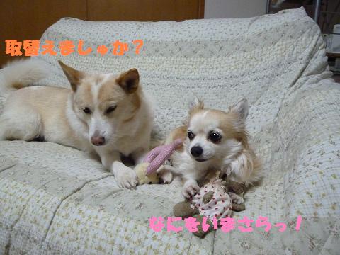 b0138430_16245995.jpg