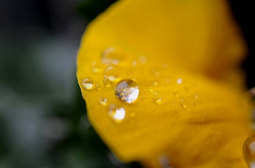 雨の一日でした_a0017634_21232367.jpg