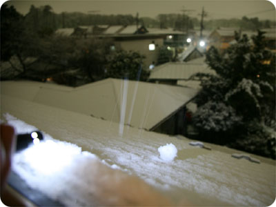天窓の雪_f0118538_2233929.jpg