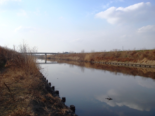 e0119840_2022532.jpg
