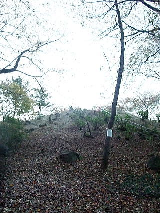 戸山公園（箱根山地区）へ_c0185542_1775795.jpg