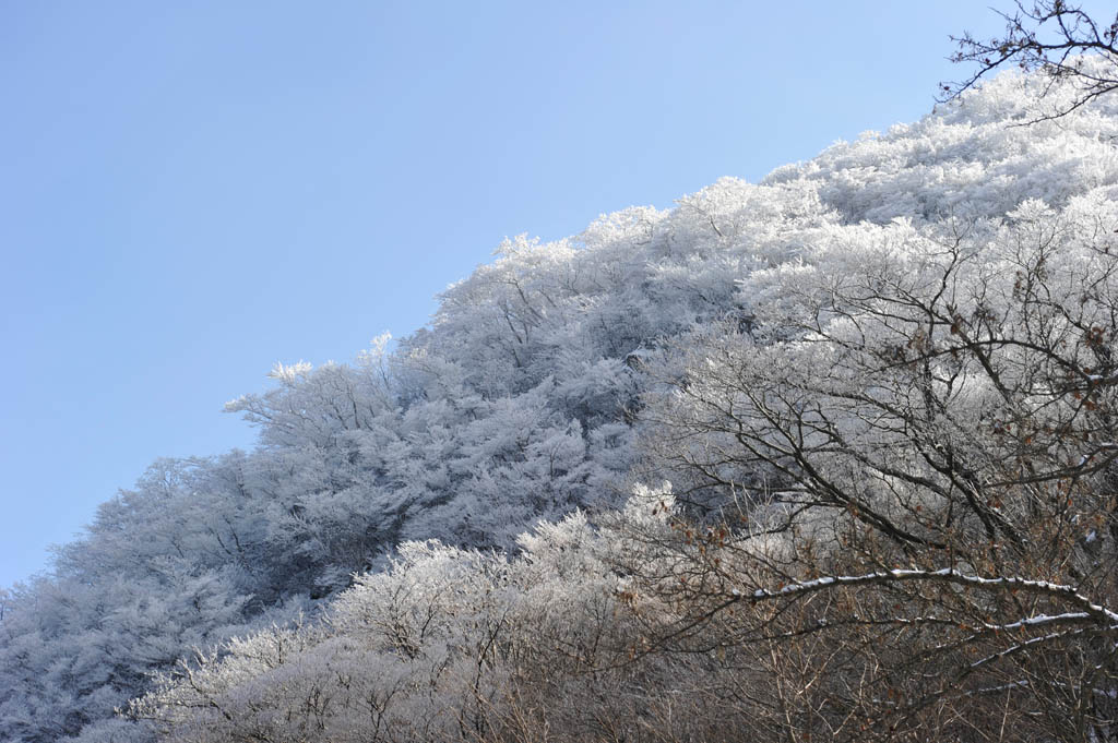 ★牧ノ戸峠の樹氷　１_b0023047_556729.jpg