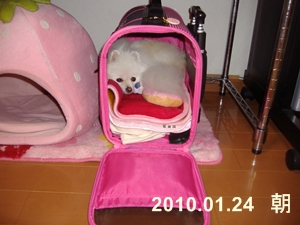 d0054461_20235336.jpg