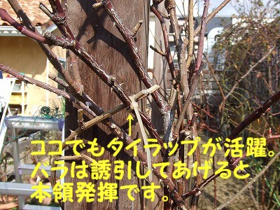 a0104162_2113330.jpg