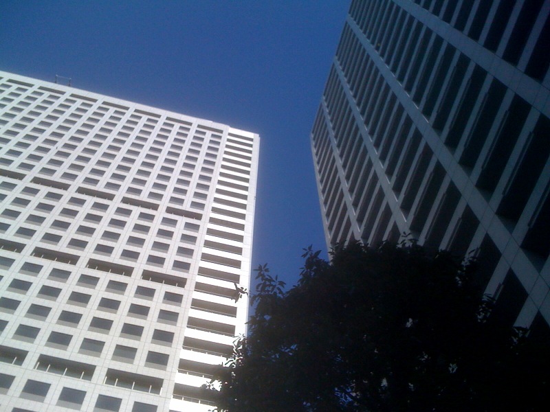 e0021965_8272297.jpg