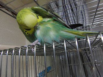 f0196665_09133.jpg