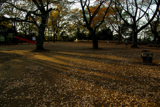 b0136768_10512977.jpg