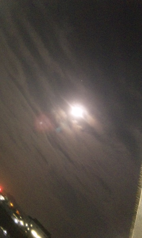 d0116870_18312571.jpg