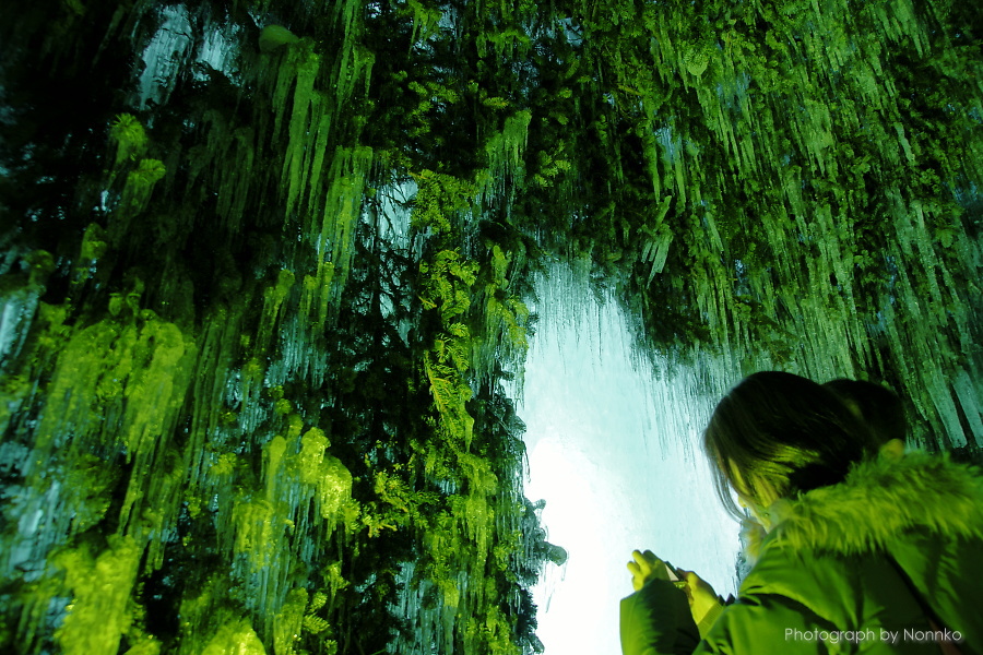 c0106977_11385943.jpg