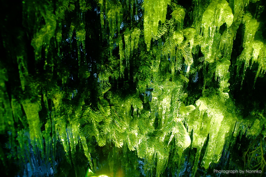 c0106977_11391378.jpg