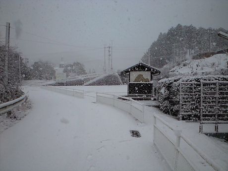 雪ふる列車　２_b0005281_2145145.jpg