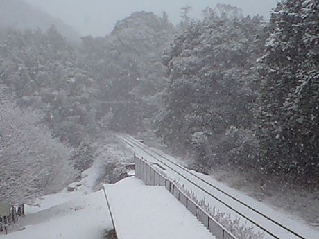 雪ふる列車　２_b0005281_21481660.jpg