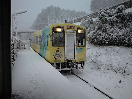 b0005281_21492659.jpg