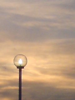 c0035386_10362765.jpg