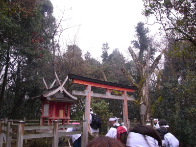 ++春日大社 練成会++_d0079988_1126145.jpg