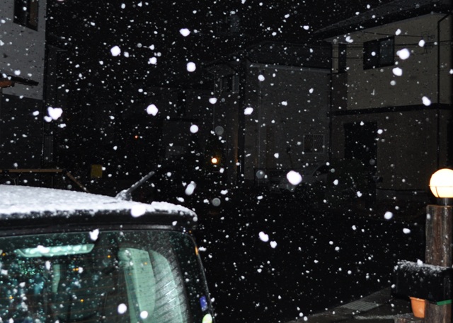 紅梅と雪降り_a0126590_2284337.jpg