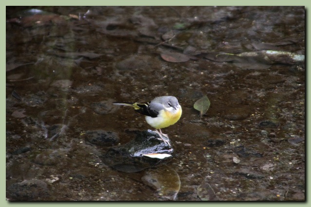 本多の森～白鳥路_f0079990_1115183.jpg