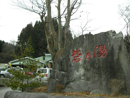 臘梅_c0066693_9111619.jpg