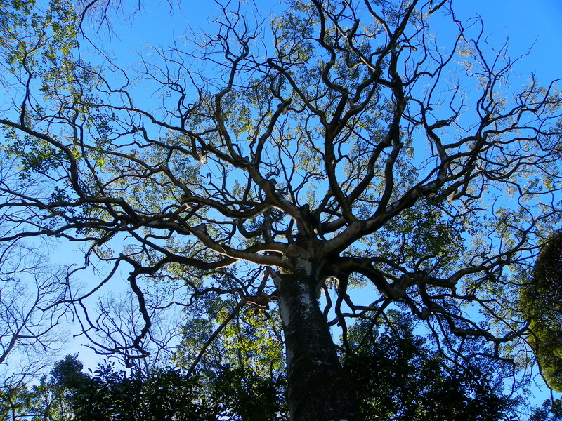 f0204094_114457.jpg
