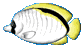 c0219595_9472163.gif