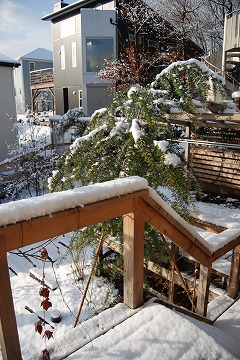 c0124100_12301195.jpg