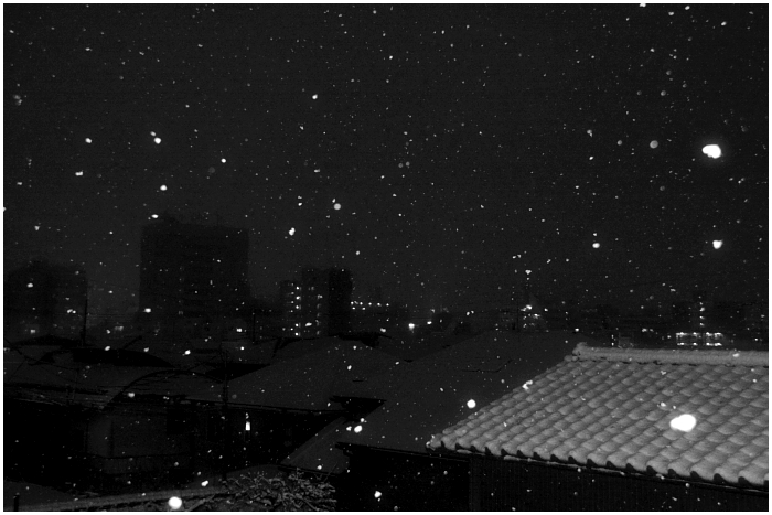 降雪　なう_e0031502_0435731.jpg