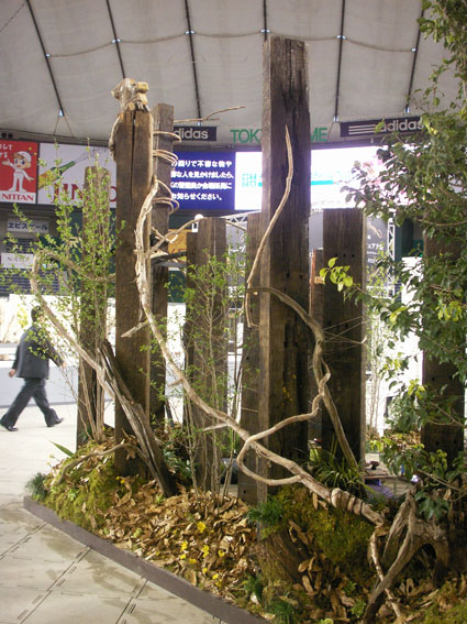 テーブルウェアフェスティバル2010開催中です_c0129404_23513450.jpg