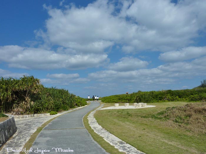 残波岬公園　1月14日_c0067206_1737247.jpg