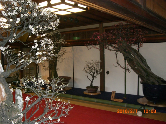 e0150006_1315049.jpg