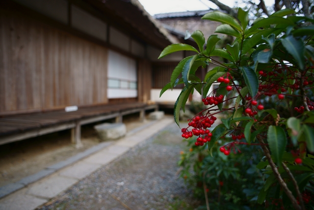 勝持寺_e0177413_00565.jpg