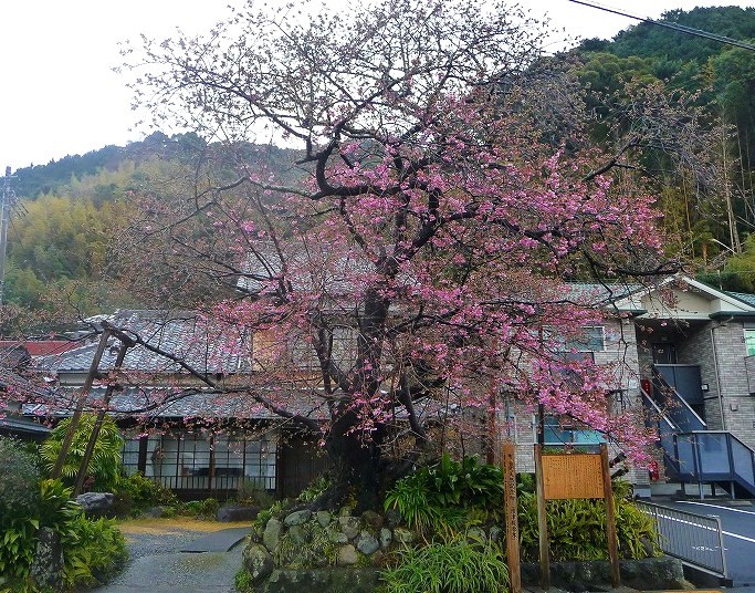 f0182513_21585163.jpg