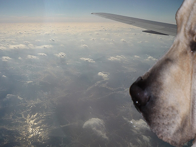 f0191413_1110432.jpg