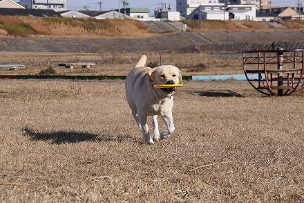 f0191413_11241814.jpg