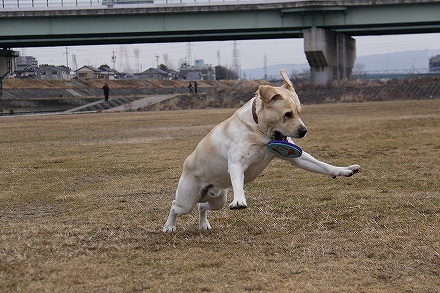 f0191413_11303355.jpg