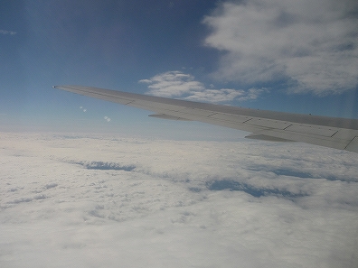 f0191413_116492.jpg