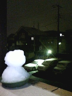 雪が降りました！_a0125814_10244660.jpg