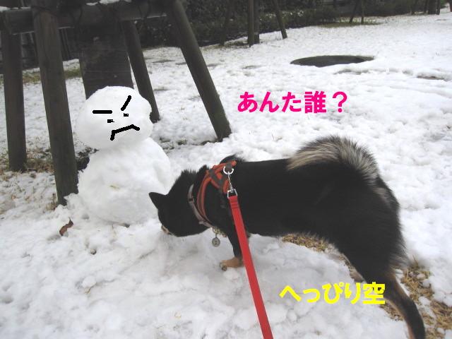 雪や～こんこん♪_c0185516_1221170.jpg