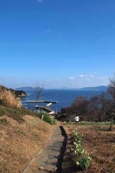 六島の水仙_f0060722_221307.jpg