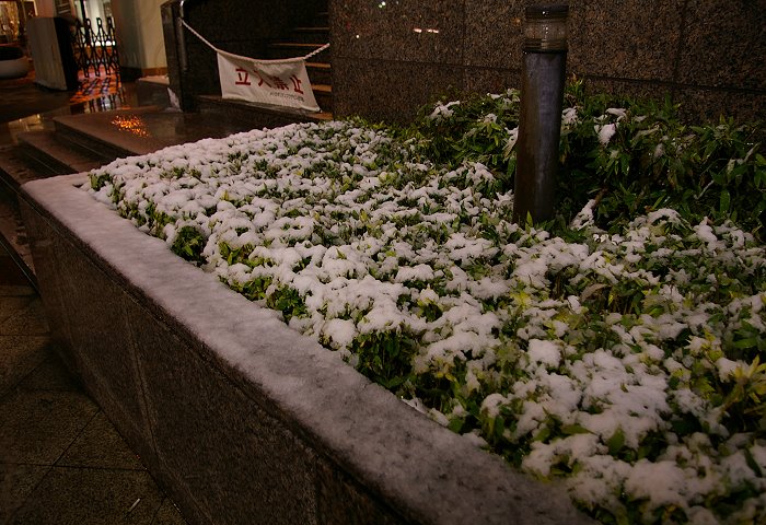 昨日の雪（都心方面）_b0082732_17441869.jpg