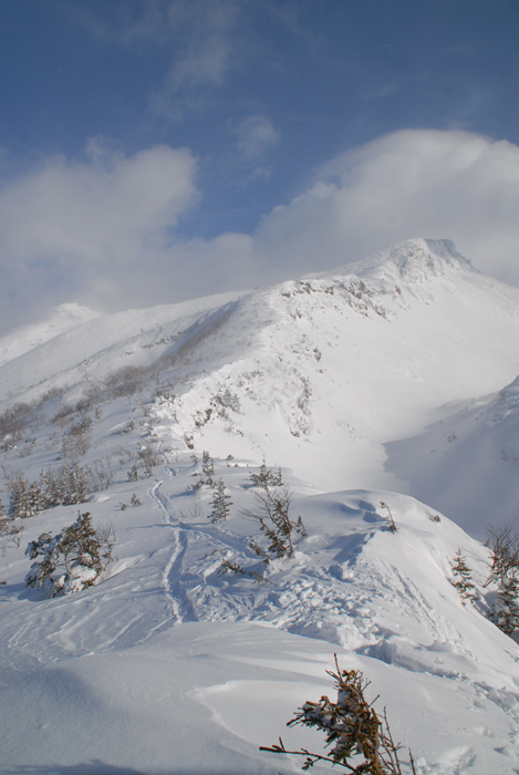 b0092232_10361566.jpg