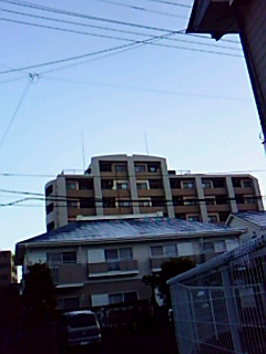 お~お~!....初雪だ!_b0137932_19431989.jpg