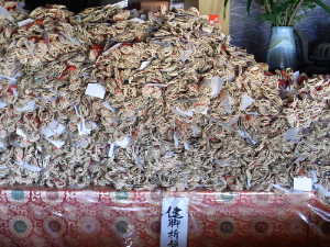 d0017632_8124080.jpg