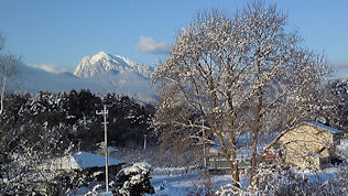 f0161535_23315116.jpg