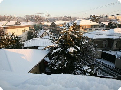雪の朝一番_f0118538_1536449.jpg